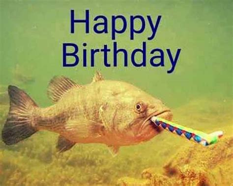 fish birthday meme|happy birthday images with fishing.